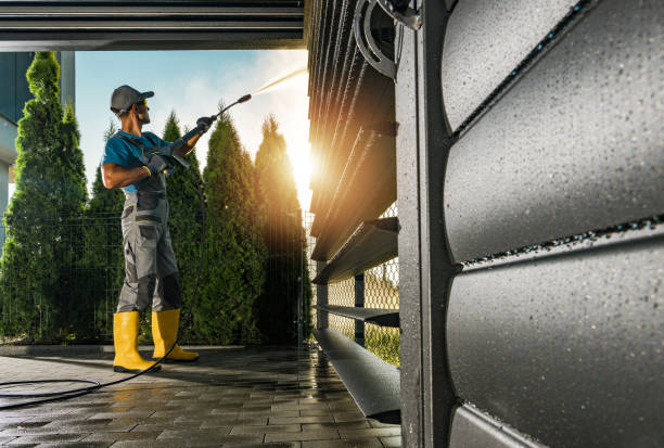 Best Rust Removal  in San Dimas, CA